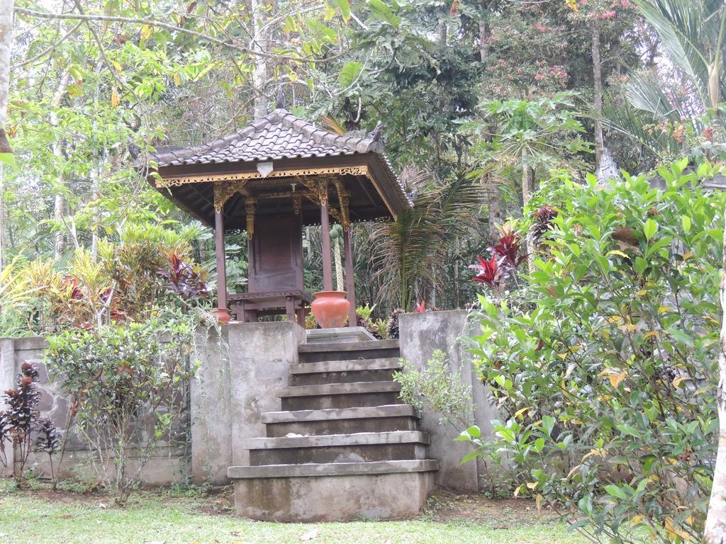 Tegal Jero Homestay Jatiluwih Exterior foto